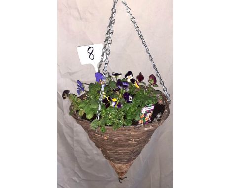 Viola Cone Basket. Not available for in-house P&amp;P 