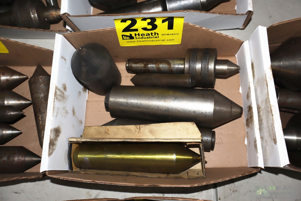 Lot 231