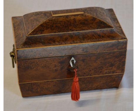 Georgian burr yew tea caddy