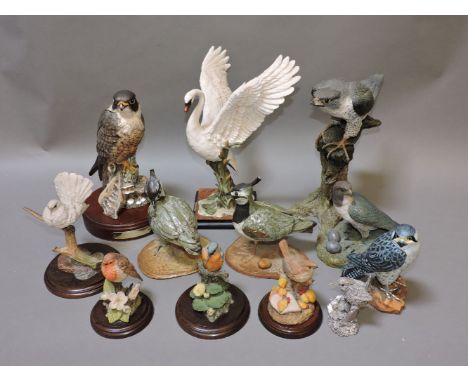 Twelve modern bird models, including Royal Doulton Peregrine Falcon, ceramic, composition, etc