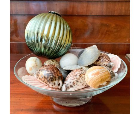 A glass bowl with shells, fossils, etc. From the estate of Ashley Barker OBE who was born in Hertfordshire in 1927.Being unus