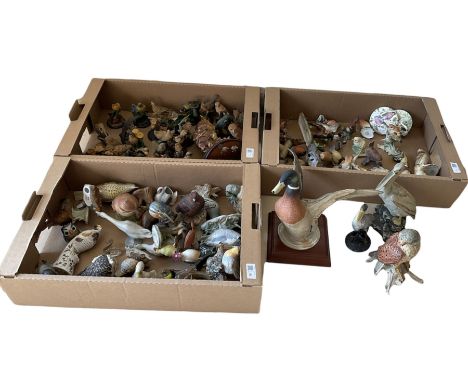 Assorted bird figures to include �The Country Bird Collection� models, Minton �Flights of Fancy Marua�, Lladro, Spode model o