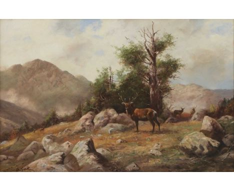 *John Trickett (b.1952)Stag in the Scottish Highlandssigned 'John Trickett' l.l., oil on canvas51 x 76cm*Artist's Resale Righ