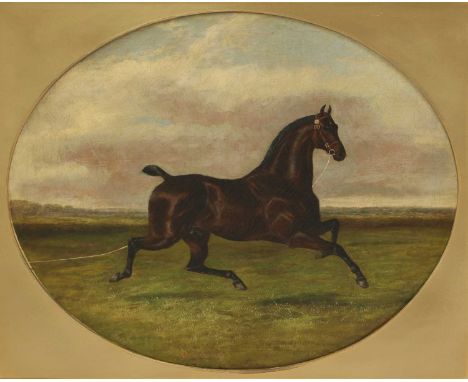Albert Clark (1821-1909) 'Conjuror II', a carriage horsesigned 'Albert Clark &amp; Son' l.c., oil on canvas51 x 61cmProvenanc