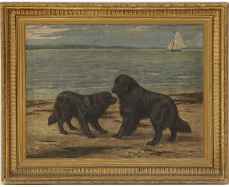 Richard Strebel (German, 1861-1940)'Baldur and Herta', Newfoundlands on a beachsigned, inscribed and dated 'Richard Strebel M