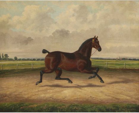 Albert Clark Snr (1821-1909) and Albert James Clark (fl.1890-1943)'County Member Jnr' - A carriage horsesigned 'Albert Clark 
