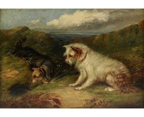 George Armfield (1808-1893)Terriers by a burrowoil on board23.7 x 30cmoverall: 28 x 34cmDarker lines visible with naked eye a