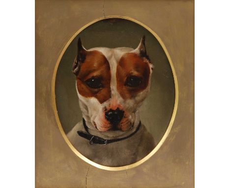 English School, 19th/20th century Bull terrieroil on panel17.5 x 23cmFramed size: 34.5 x 29.5cm, frame has oval aperture. The