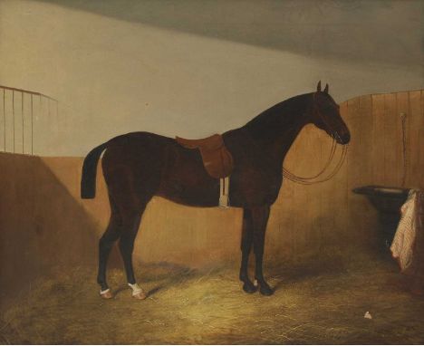 Alken Bl** A dark bay hunter in a stable indistinctly signed l.r., oil on canvas 51 x 61cmCanvas has been relined. Paint loss