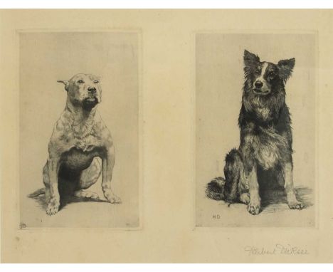 Herbert Thomas Dicksee RE (1862-1942) ‘Beauty and the Beast’: a Belligerent Staffordshire Bull Terrier; and a Friendly Border