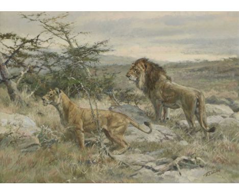 *Fritz Laube (German, 1914-1993)Lion and lionesssigned 'F Laube' l.r., also signed, inscribed and dated 1980 verso, oil on ca