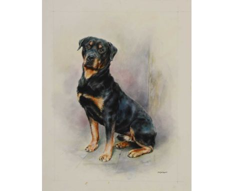 *Mandy E Shepherd (b.1960) Rottweilersigned 'Mandy E Shepherd' l.r., watercolour, pastel46.4 x 37.6cm, unframed*Artist's Resa