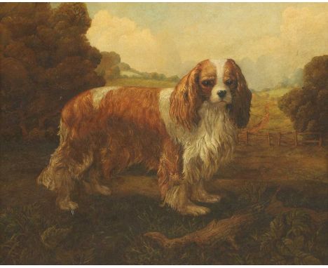 English School, early 20th centuryA King Charles spaniel in a landscapeoil on board45 x 55cmFramed size: 62.5 x 73.5cm.Surfac