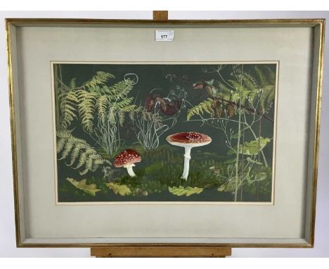 Penny Berry Paterson (1941-2021) two gouache paintings - forest floor studies, both signed and dated '12/11/1978', the first 
