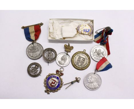 Enamel badge and various other medals etc.