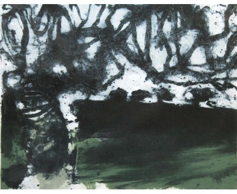 Hughie O'Donoghue b.1953
WHERE IS YOUR GARDEN?
Carborundum print, 19 1/2" x 25" (49.5 x 63.5cm), signed and dated 2005. 

Pro