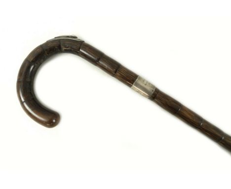 An Edward VII horse measuring walking stick, silver mounted, with integral extendable measure, with brass perpendicular, miss