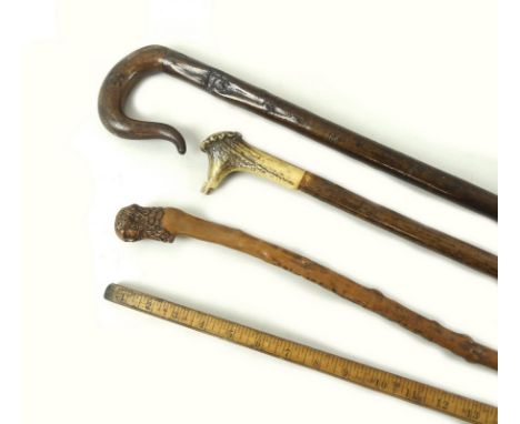 A group of sticks, comprising a large wooden shepherds crook, 184.5cm high, a wooden walking cane with antler handle, carved 