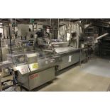 Fuji Model FW3700 Horizontal Flow Wrappers with Thiele Card Placer, Markem Coder.