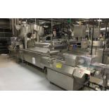 Fuji Model FW3700 Horizontal Flow Wrappers with Thiele Card Placer, Markem Coder.