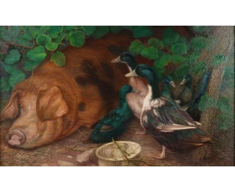 Denby Sweeting (British 1936-2020) Pig and Ducks, oil on panel, signed bottom left, framed. 23 x 37 cm, frame 35 x 49 cm Prov