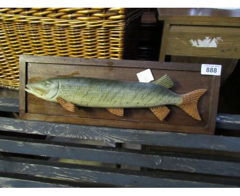 Sale Item:    WOODEN FISH   Vat Status:   No Vat   Buyers Premium:  This lot is subject to a Buyers Premium of 15% + Vat @ 2