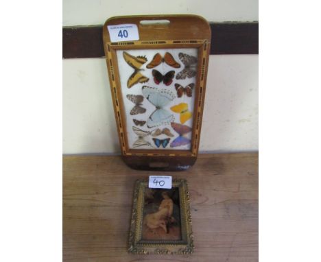  Sale Item:    SMALL CRYSTOLEUM PORTRAIT & BUTTERFLY TRAY (AF)  Vat Status:   No Vat   Buyers Premium:  This lot is subject t