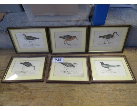 Sale Item:    6 VICTORIAN BIRD PRINTS   Vat Status:   No Vat   Buyers Premium:  This lot is subject to a Buyers Premium of 1