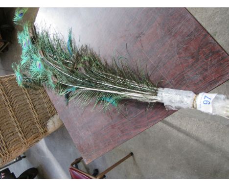  Sale Item:    PEACOCK FEATHERS   Vat Status:   No Vat   Buyers Premium:  This lot is subject to a Buyers Premium of 15% + Va