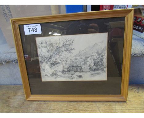  Sale Item:    PENCIL DRAWING LANDSCAPE   Vat Status:   No Vat   Buyers Premium:  This lot is subject to a Buyers Premium of 