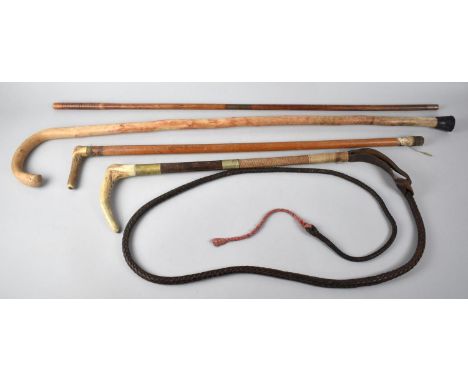 A Collection of Two Bone Handled Crops, Walking Stick and Gun Cleaning Rod 