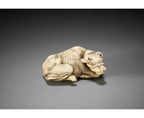 A POWERFUL IVORY NETSUKE OF A RECUMBENT OX LICKING ITS NOSE, ATTRIBUTED TO GARAKUAttributed to Risuke Garaku, unsigned Japan,