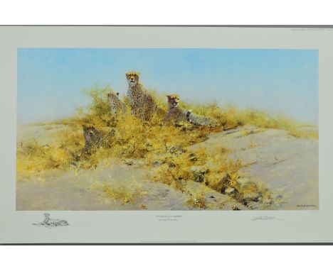 DAVID SHEPHERD 91931-2017) 'THE CHEETAHS OF NAMIBIA', a limited edition print 436/1000, signed and numbered in pencil with bl