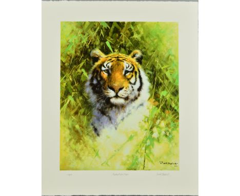 DAVID SHEPHERD (BRITISH 1931-2017) 'PORTRAIT OF A TIGER' a limited edition print 118/200, signed, titled and numbered in penc