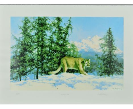 DAVID SHEPHERD (BRITISH 1931-2017 'MOUNTAIN LION', a limited edition print 343/350, signed, titled and numbered in pencil, wi