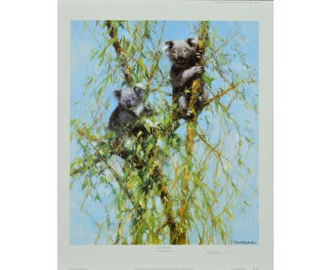 DAVID SHEPHERD (1931-2017) 'UP A GUM TREE', a limited edition print 144/950 of Koala Bears, signed and numbered in pencil wit