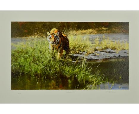 DAVID SHEPHERD (1931-2017), 'THE BANDIPUR TIGER', a limited edition print 203/350, signed, titled and numbered in pencil, wit