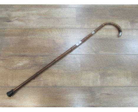 Silver rimmed walking stick