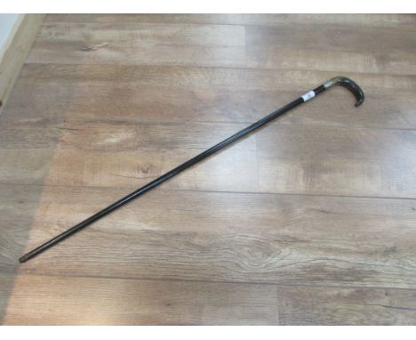 Silver rimmed walking stick