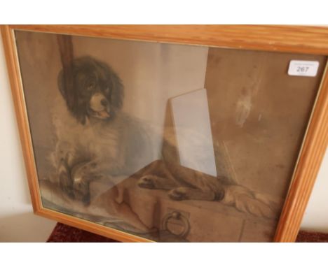 Framed pencil sketch of seated dog 