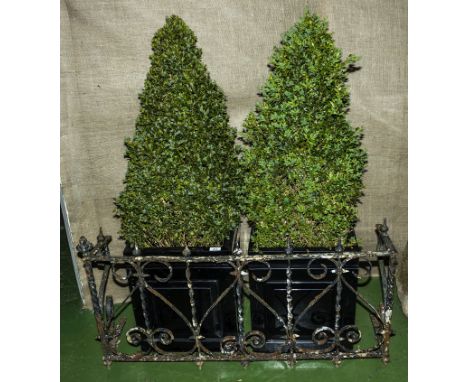 A pair of small conifers in pots and an iron surround.