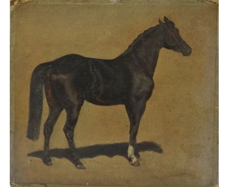 C. WACHNECISTER? A Horse Portrait Oil on canvas laid down  Indistinctly signed 38 x 43cm