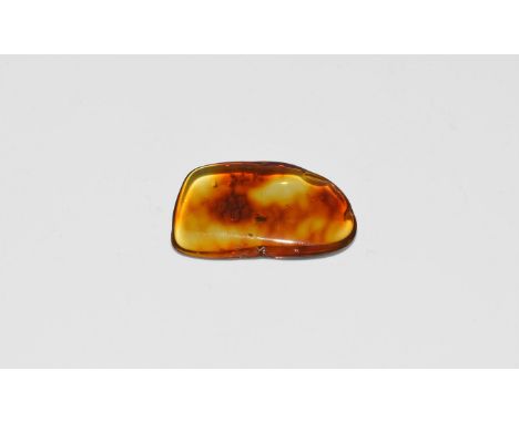 Oligocene Period, 45 million years BP. A clear piece of Baltic amber containing an insect together with other inclusions. 1.7