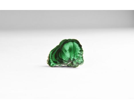 A fine cut and polished malachite specimen with bands of pale and dark green colour, in white card tray with label reading: '
