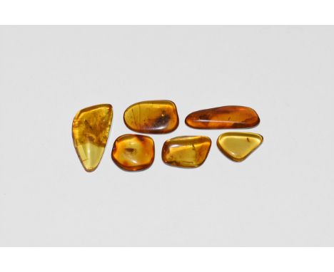 Oligocene Period, 45 million years BP. A group of six pieces of Baltic amber each containing flies together with other inclus