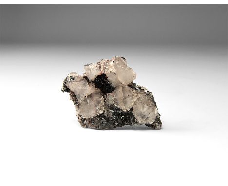 A fine specimen consisting of bright crystals of specularite and double-terminated translucent crystals, in white card tray w