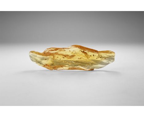 Circa 1 million years BP. A piece of polished copal containing dozens of insects and other inclusions, from Madagascar. 22 gr