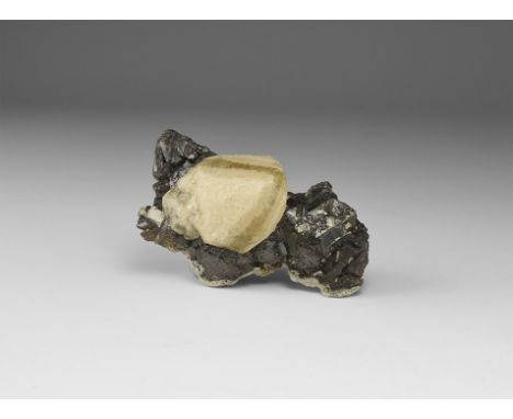 A cluster of small sphalerite crystals with lustrous faces and a large conical calcite crystal, in white card tray with label