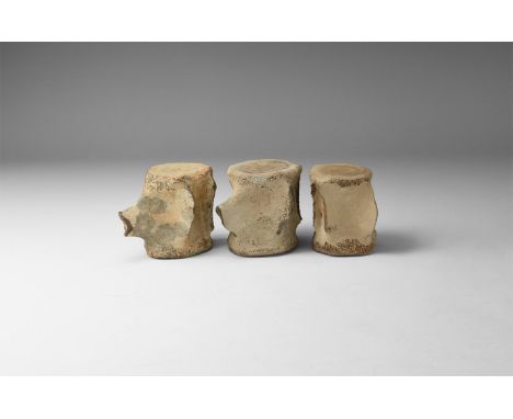 Miocene Period, 23-5.3 million years BP. A group of three porpoise lumbar vertebra from the Pungo River Formation, Lee Creek,