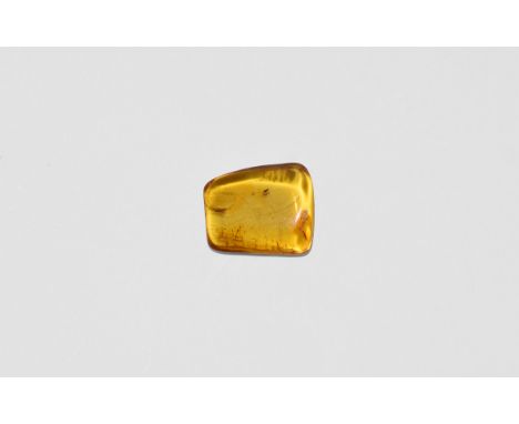 Oligocene Period, 45 million years BP. A clear piece of Baltic amber containing an insect together with other inclusions. 1.9